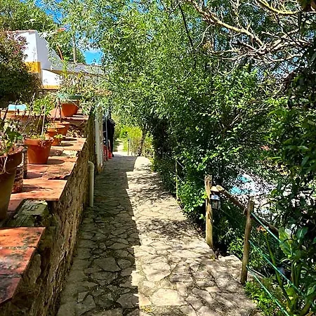 Quinta Laranja - - Hotel Caldas Da Rainha
